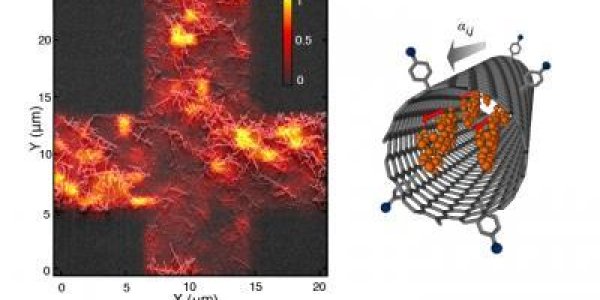 Raman Scattering: Taking Fingerprints Of The Infinitely Small