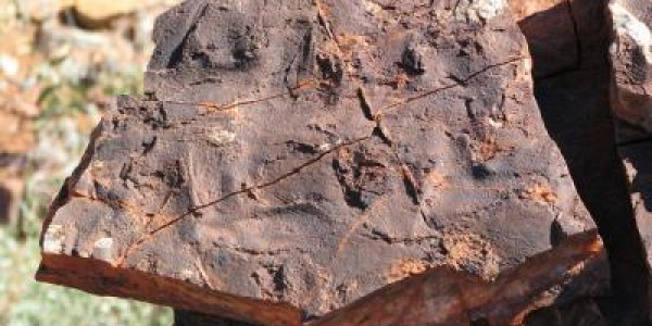 Astrobiology: 3.5 Billion-year-old Bacterial Ecosystems Found In Australia