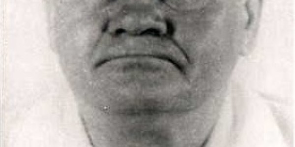 Xenophobia And Cake Mix