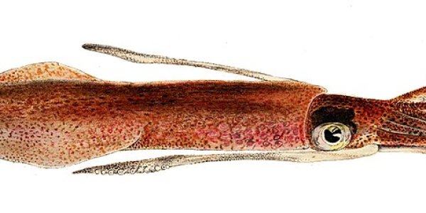 A Neon Sign Of Climate Change