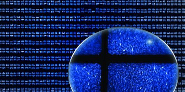 Tunable Coupling For Genetic Circuits - FM Radio For Bacteria