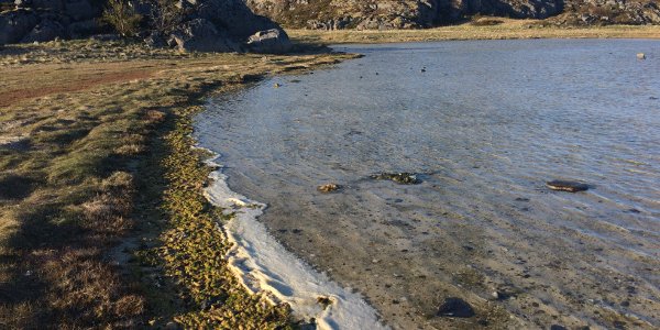 World Biodiversity Day: Wetlands, Biodiversity And The Role Of Earth Observations