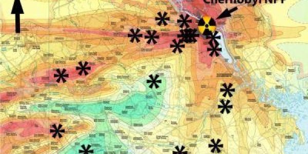 Chernobyl Damage Doesn't Just Keep Plants From Growing, It Keeps Them From Decomposing