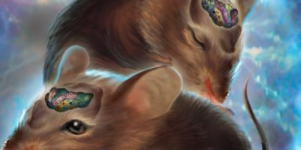 Scientists Control Mouse Brains Using Lasers