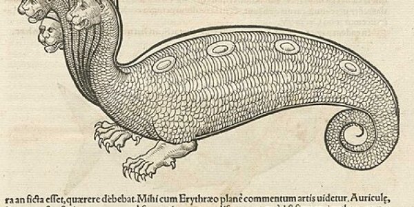 What Killed Florida's Giant Squid?