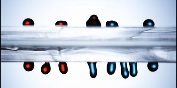 The Lotus Leaf And A Lab In A Drop