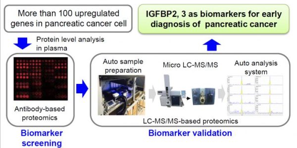 Early Pancreatic Cancer Detection Using Blood Biomarkers