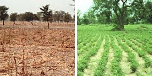 Using NASA Satellites To Predict Famine