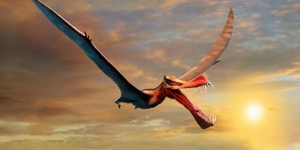 Thapunngaka Shawi: The Fearsome Beast Of Wanamara Discovered