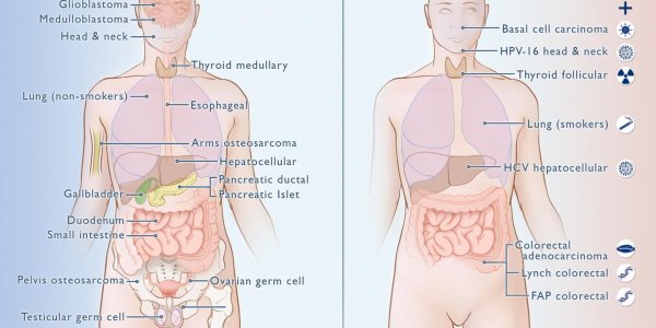 Perhaps Bad Luck And Nature Gave You Cancer, Not Genetics Or Your Lifestyle