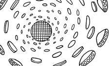 Electron Topology 