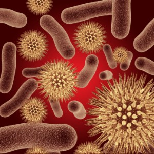 Bacteria Communication
