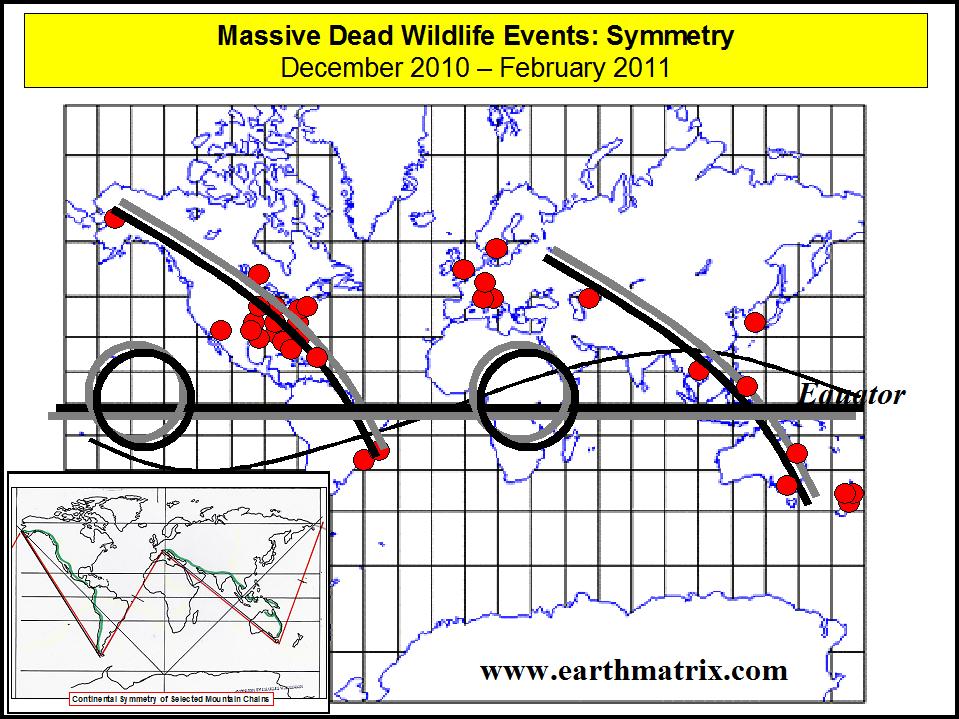 Mass Wildlife Deaths Atlantic View