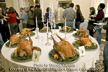 Turkey Tasting