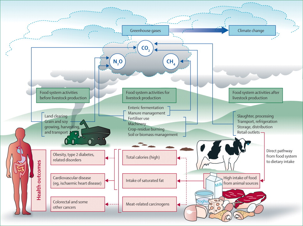  the Lancet (Food, Agriculture, Health, GHG Lifecycle)