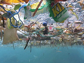 Wiew under floating plastic waste in ocean surface Wiew under floating plastic waste in ocean surface