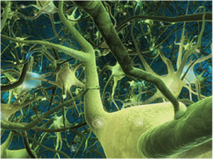 Possible Mind