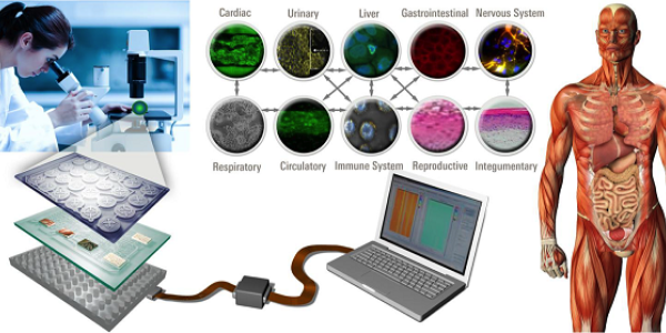 BIO-MIMETICS: Human Body On A Chip