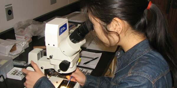 Article teaser image