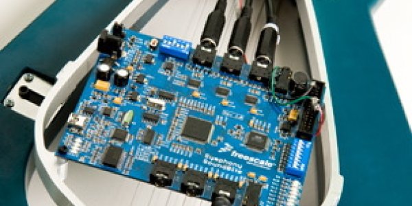 Chameleon Guitar Can Be Any Wood You Want