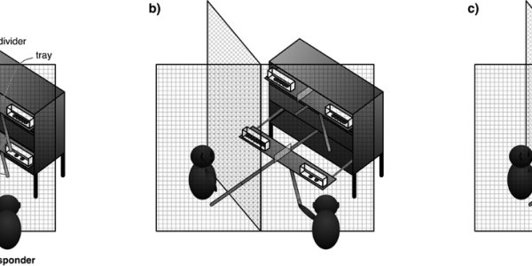 Fair Play Is A Human Concept, Says Study
