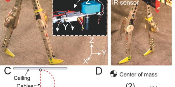 RunBot - Mountaineering Robot
