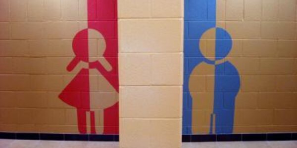 Article teaser image