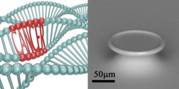 Article teaser image