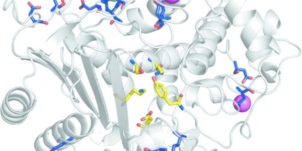 Article teaser image