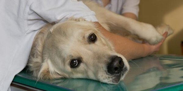 Article teaser image