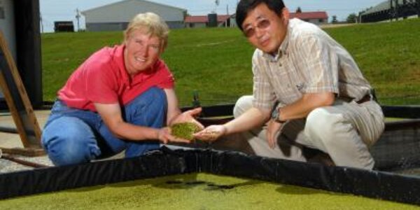 Article teaser image