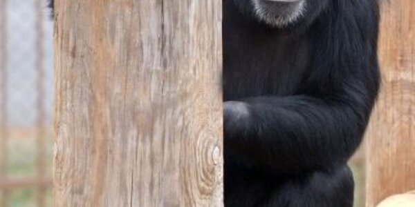 Article teaser image