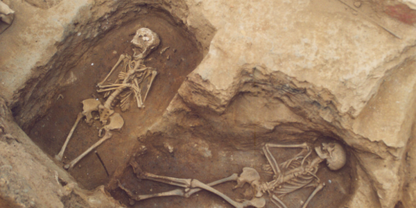 Article teaser image