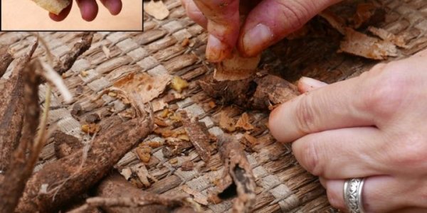 Ancestors Of Humans Recycled Flint Tools For These Very Specific Purposes