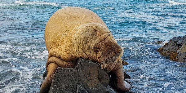 Article teaser image