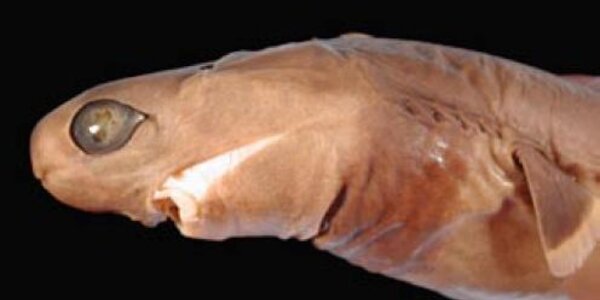 Article teaser image