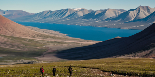 Like Plants? Thank Mass Extinctions