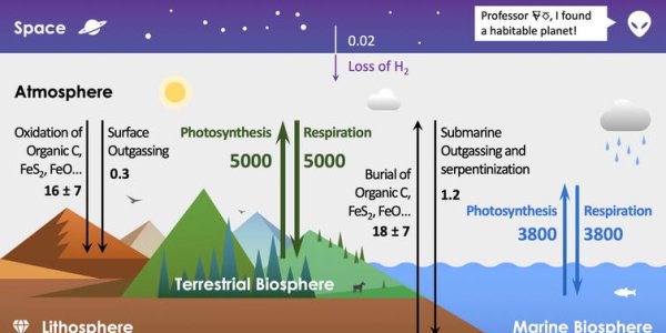 Amazon Fires Are Not Depleting Earth's Oxygen Supply
