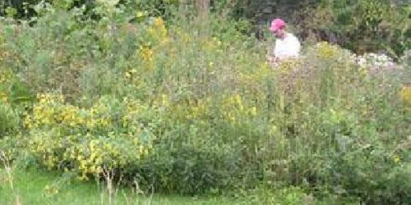 Article teaser image