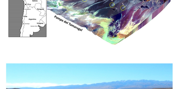 Article teaser image