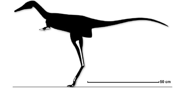 Albertonykus Borealis - America's Smallest Dinosaur