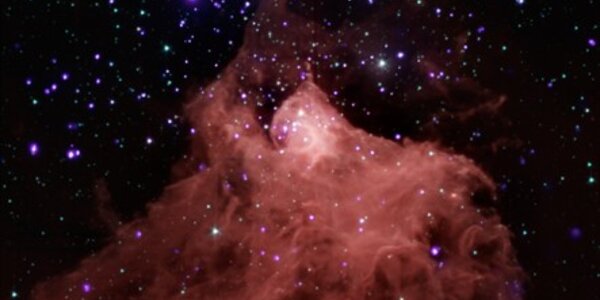 Article teaser image