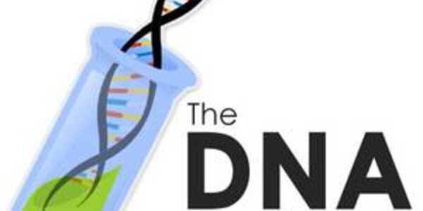 Article teaser image