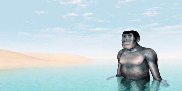 Sorry David Attenborough, We Didn't Evolve From Aquatic Apes