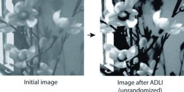 Article teaser image