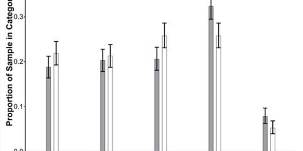 Article teaser image