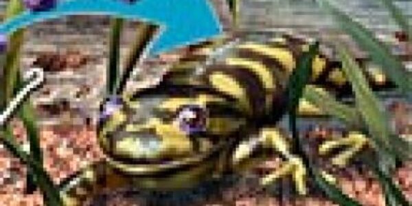 Article teaser image