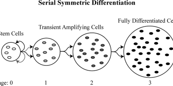 Article teaser image