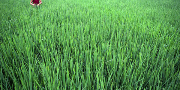 Article teaser image