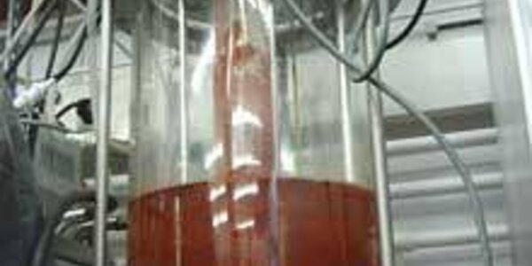 Article teaser image